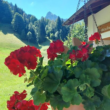 Bergmomente Montafon Ferienhaus Bitschweil Villa Tschagguns Eksteriør bilde