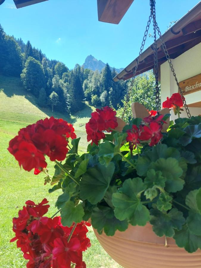 Bergmomente Montafon Ferienhaus Bitschweil Villa Tschagguns Eksteriør bilde