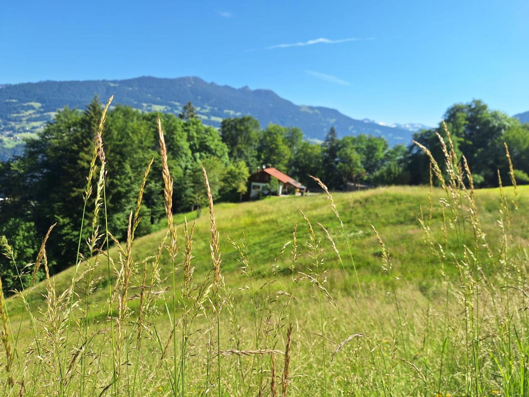 Bergmomente Montafon Ferienhaus Bitschweil Villa Tschagguns Eksteriør bilde